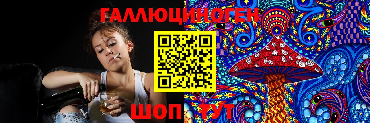 Псилоцибиновые грибы Cubensis Майский